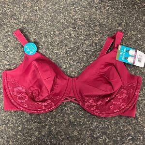11/25  NWT vanity fair 76571  burgundy lace underwire bra 40DD